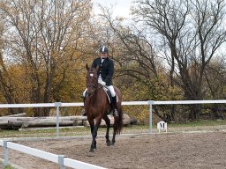 IMG_0422-156_web